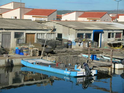 Mon ancien chaland, "Bardanis"... Photo de l'actuel centre ostréicole de Leucate
